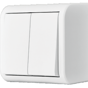 INTRERUPATOR  APLICAT DUBLU AE20103